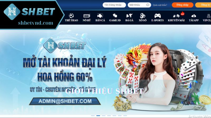 Giới thiệu Shbet